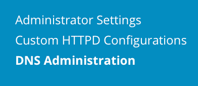 access dns administration