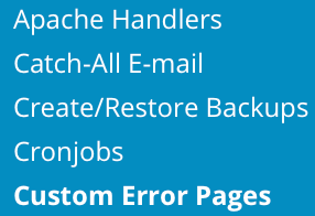 access custom error pages
